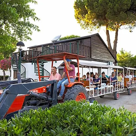 Hotell Mare Pineta Marina Romea